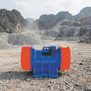 Vibrating Feeder Vibration Motor