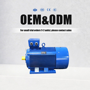 Wide Range 0.75-315kW 4P IP54 Cast Iron 3 Phase IE3 Asynchronous Inverter Duty Motor